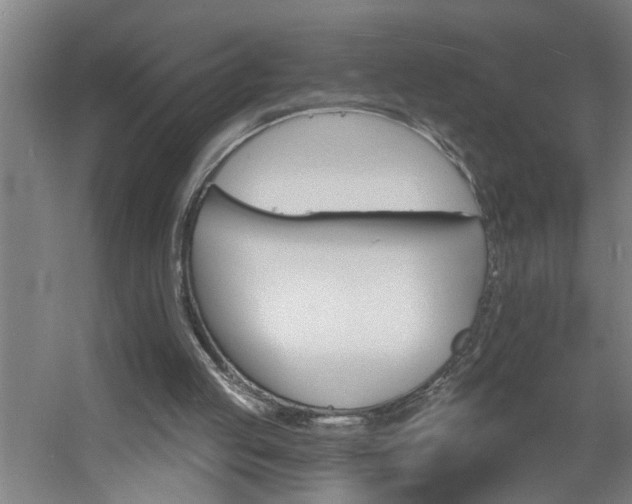 X0000060810053200511101503