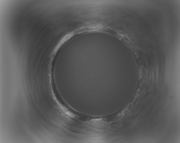 X0000060810054200511101503