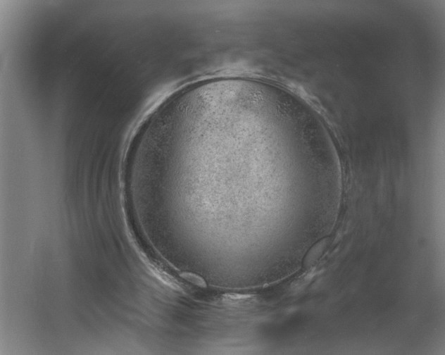 X0000060810055200511101503