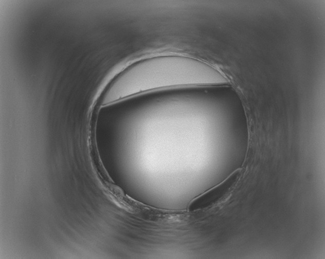 X0000060810056200511101503