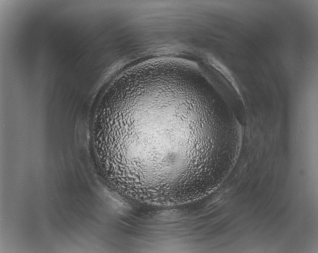 X0000060810059200511101503