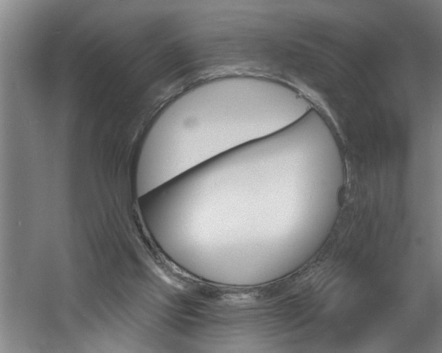 X0000060810061200511101504