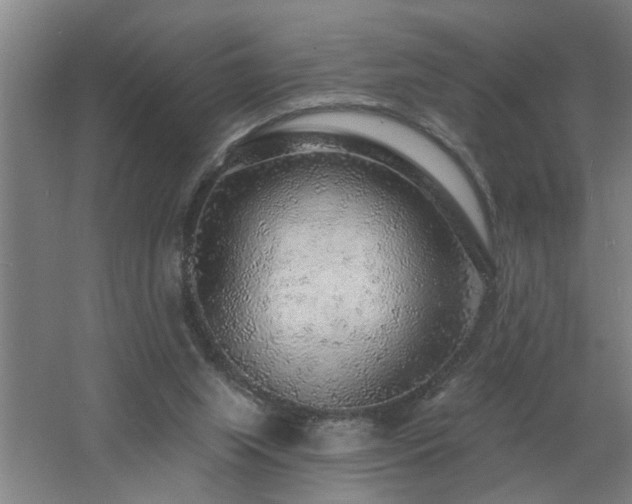 X0000060810063200511101504