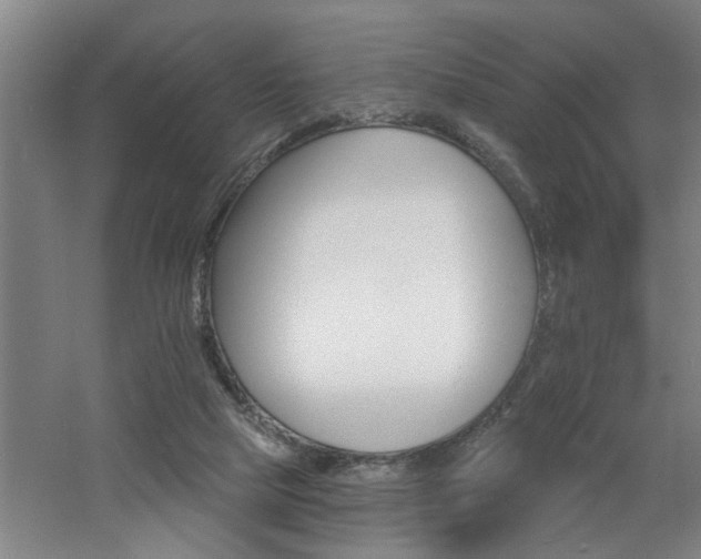 X0000060810065200511101504