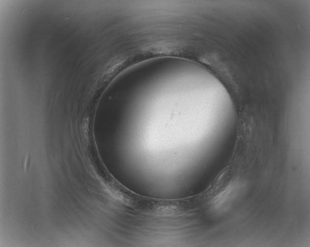 X0000060810066200511101504