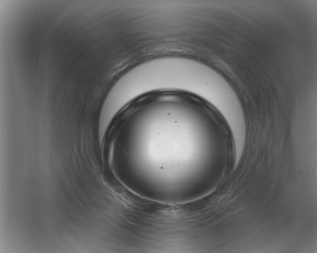 X0000060810071200511101504