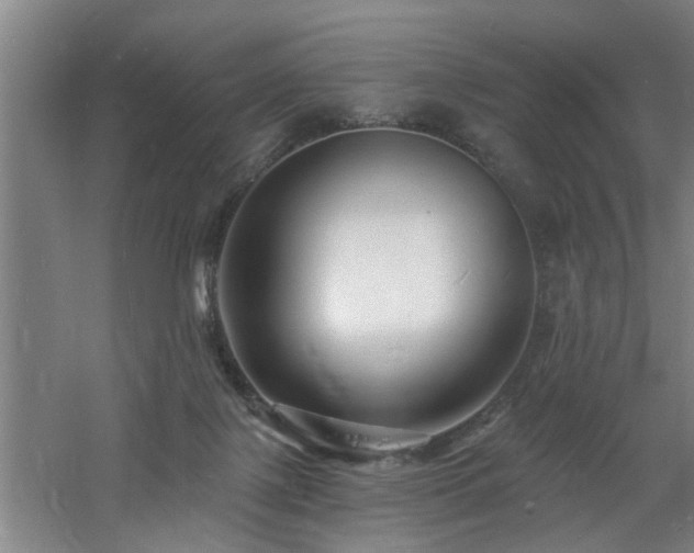 X0000060810075200511101504