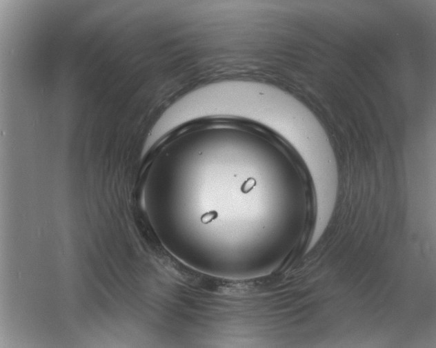 X0000060810079200511101504