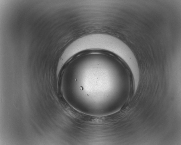 X0000060810080200511101504