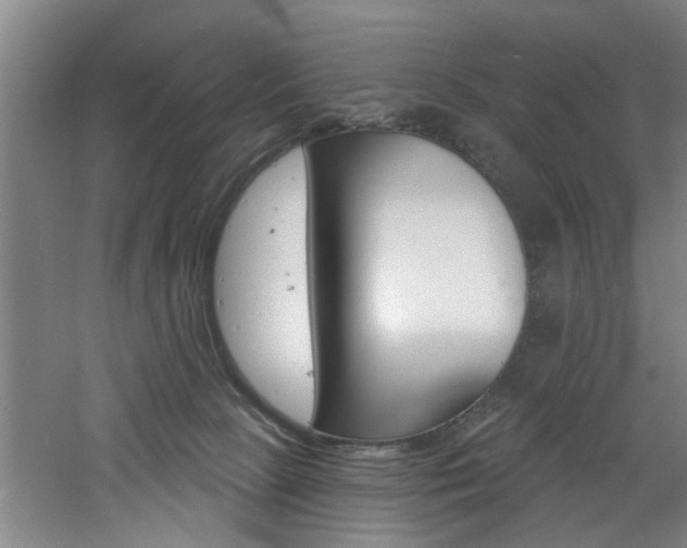 X0000060810081200511101504