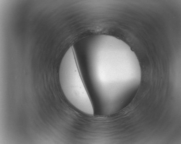 X0000060810085200511101504