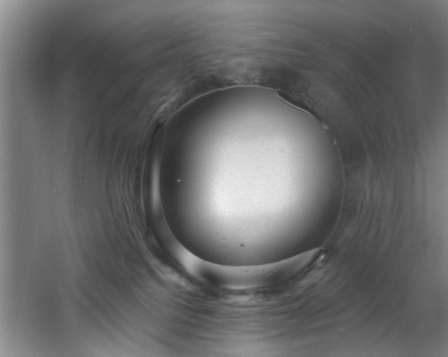 X0000060810088200511101504