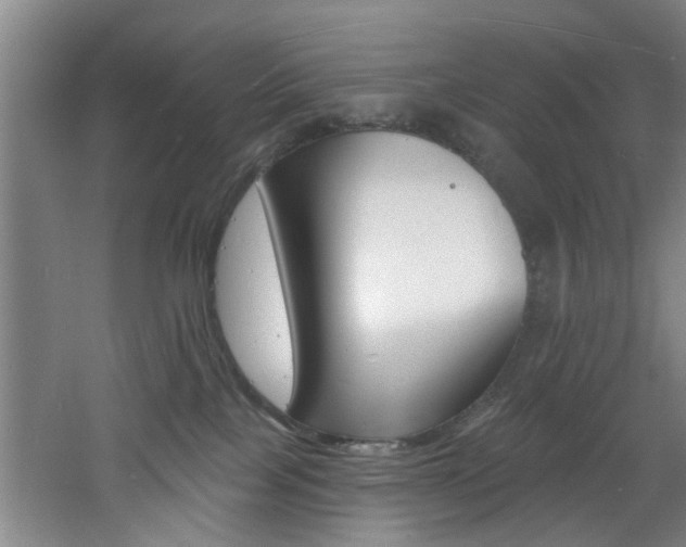 X0000060810089200511101504