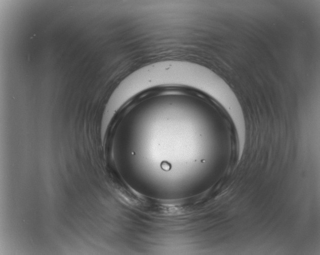 X0000060810091200511101504