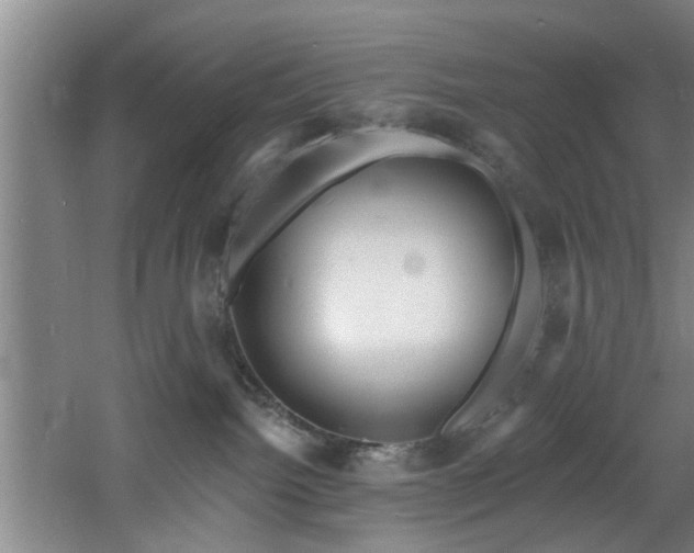 X0000060810092200511101504