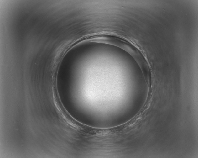 X0000060810097200511101503