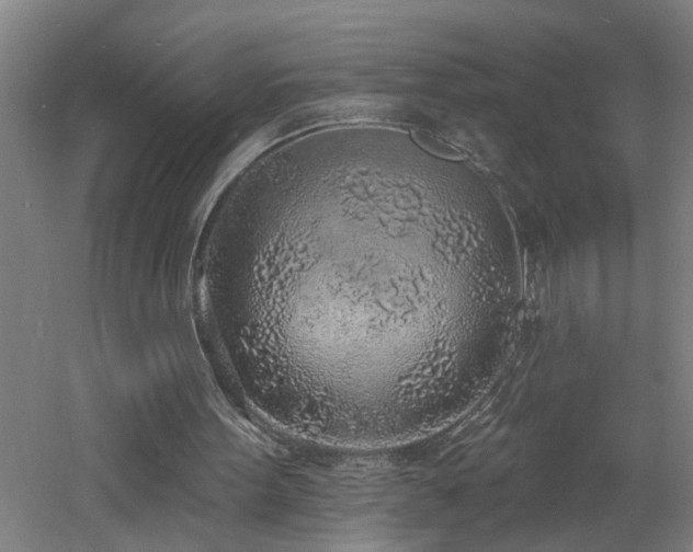 X0000060810099200511101503