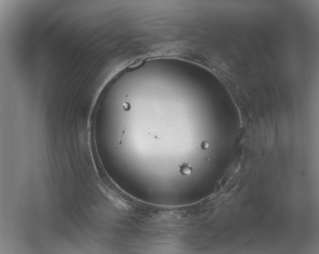 X0000060810100200511101503