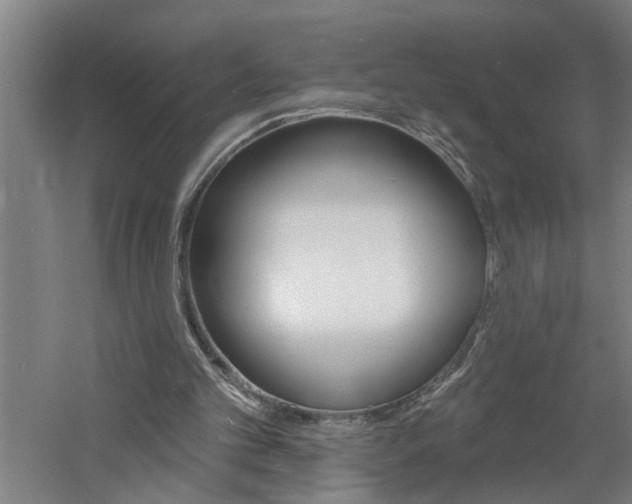 X0000060810101200511101503