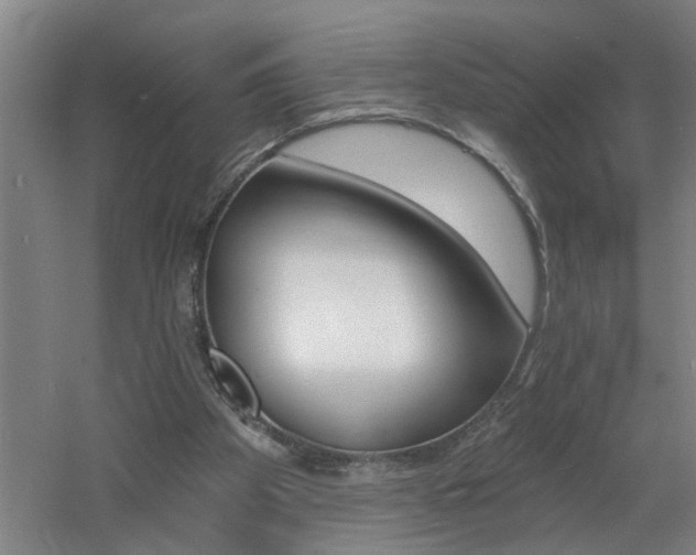 X0000060810105200511101503