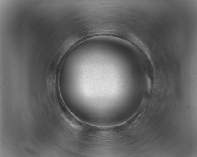 X0000060810107200511101503