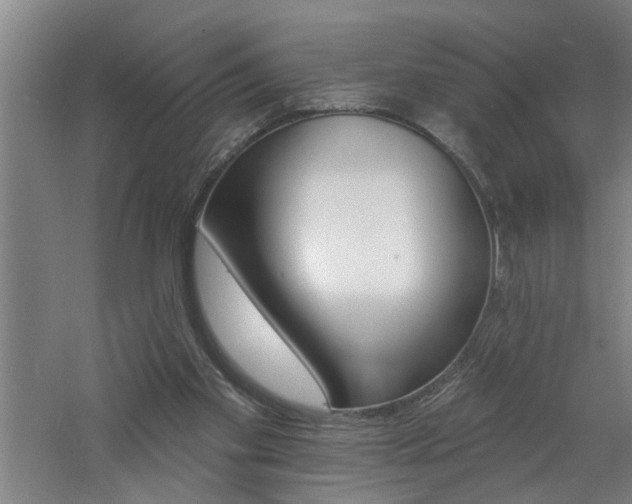 X0000060810109200511101503