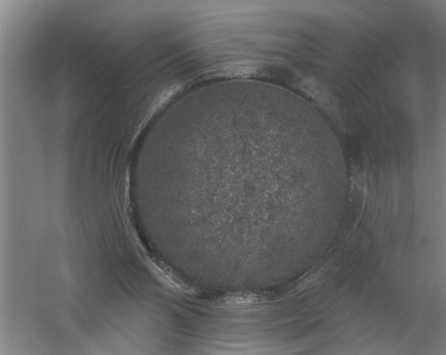 X0000060810110200511101503