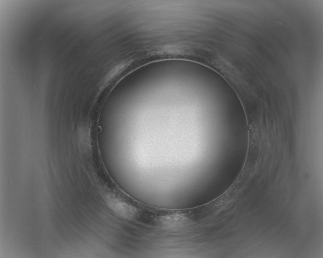 X0000060810112200511101503