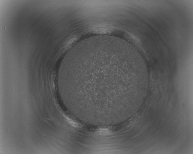 X0000060810114200511101503