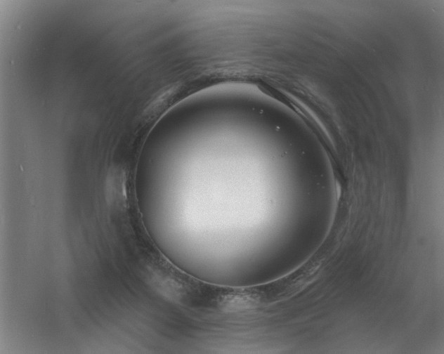 X0000060810115200511101503