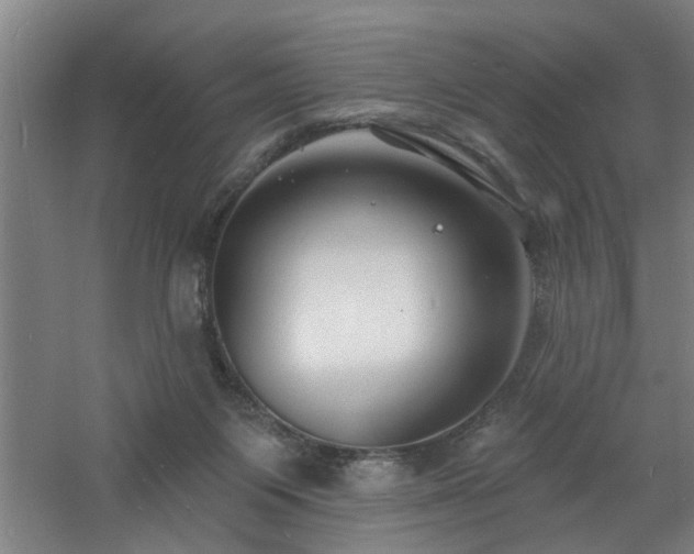 X0000060810119200511101503