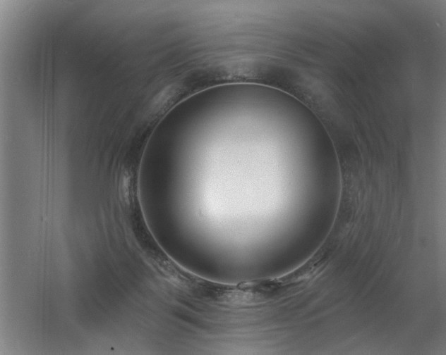 X0000060810123200511101503