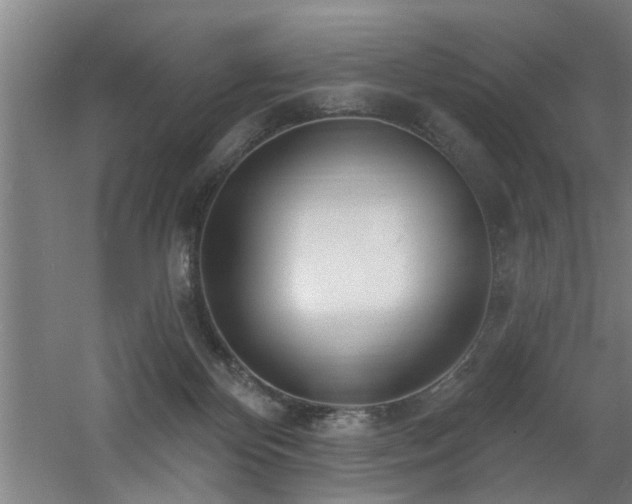 X0000060810124200511101503