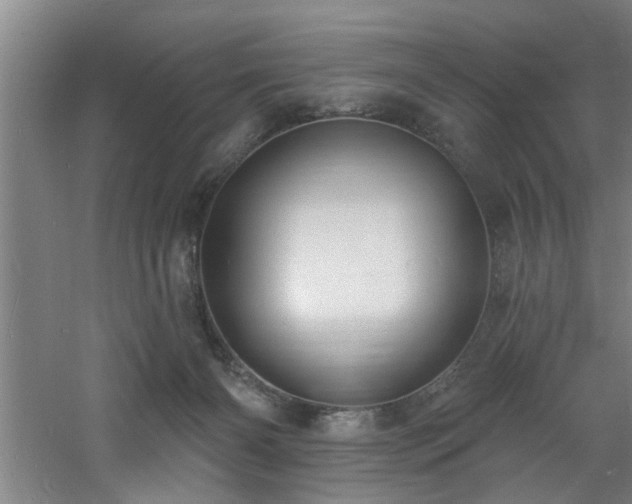 X0000060810126200511101503