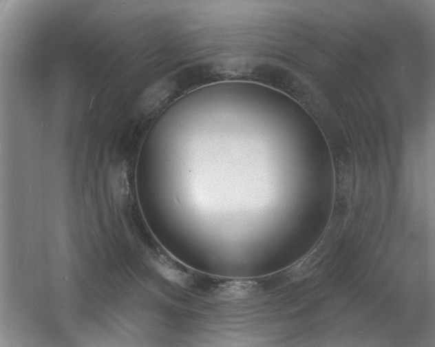 X0000060810128200511101503