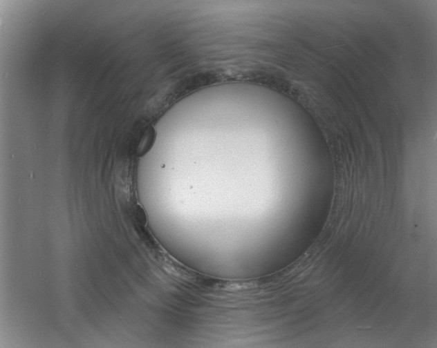 X0000060810129200511101503