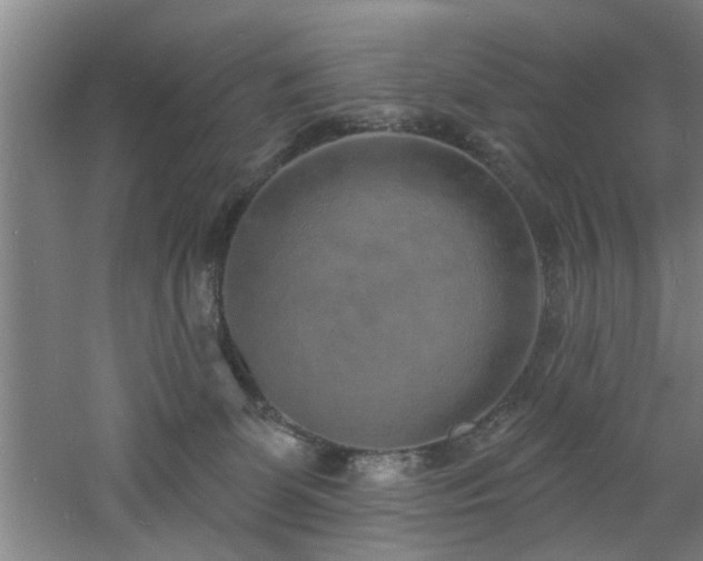 X0000060810131200511101503