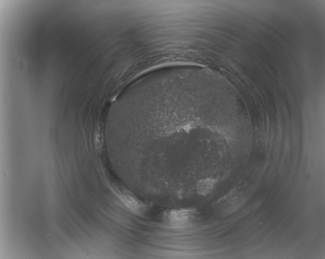 X0000060810134200511101503