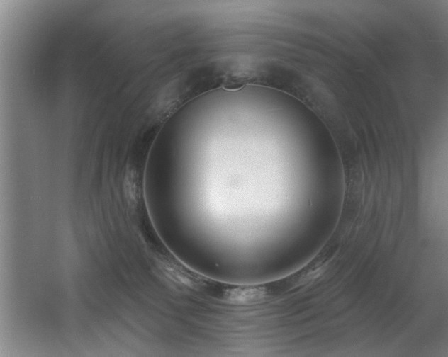 X0000060810135200511101503