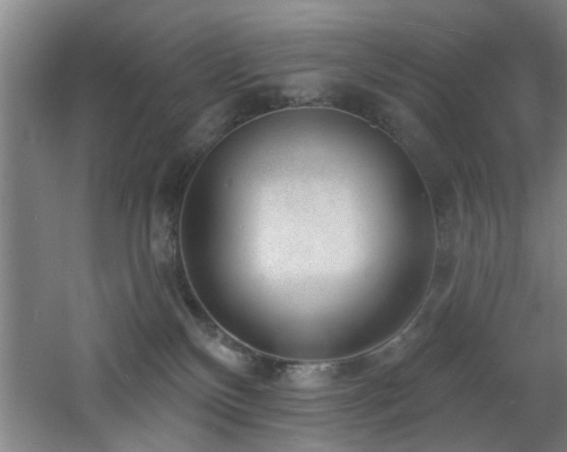 X0000060810136200511101503