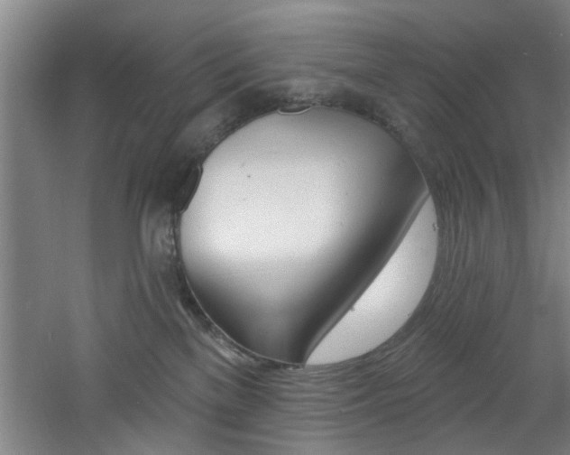 X0000060810137200511101503