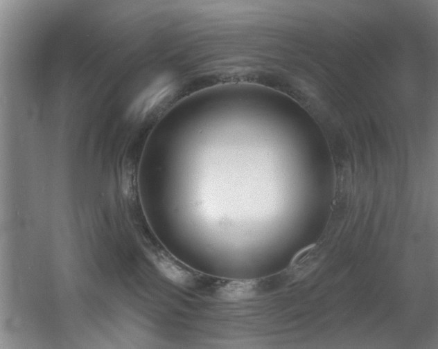 X0000060810138200511101503