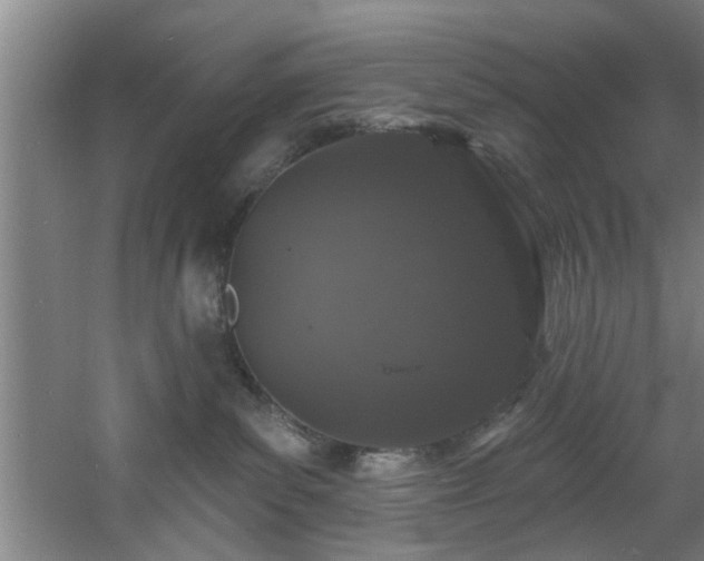 X0000060810139200511101503