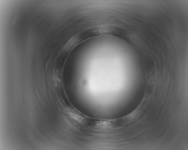 X0000060810140200511101503