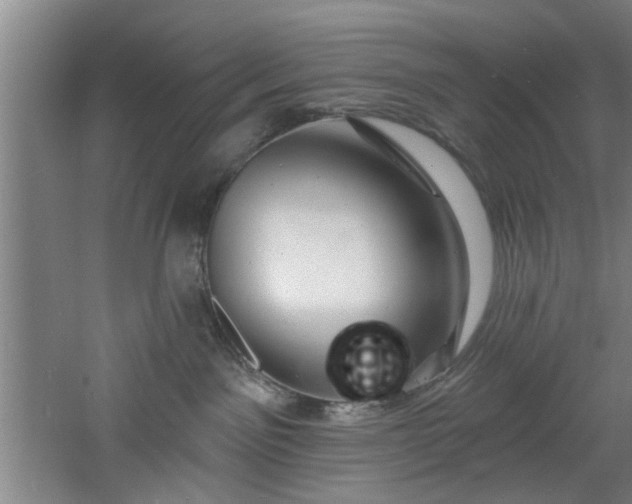 X0000060810141200511101503