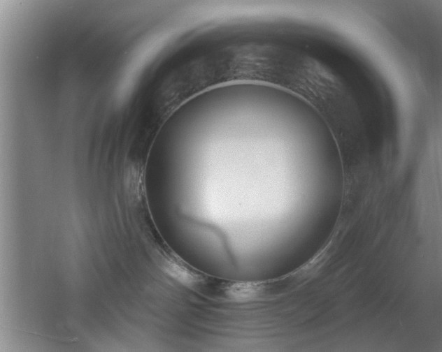 X0000060810142200511101503