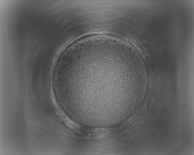 X0000060810145200511101502