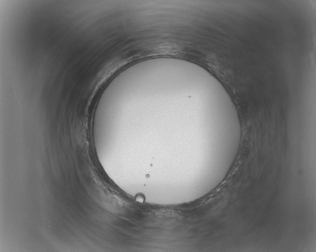 X0000060810146200511101502