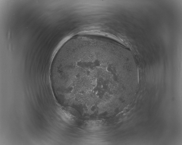 X0000060810147200511101502