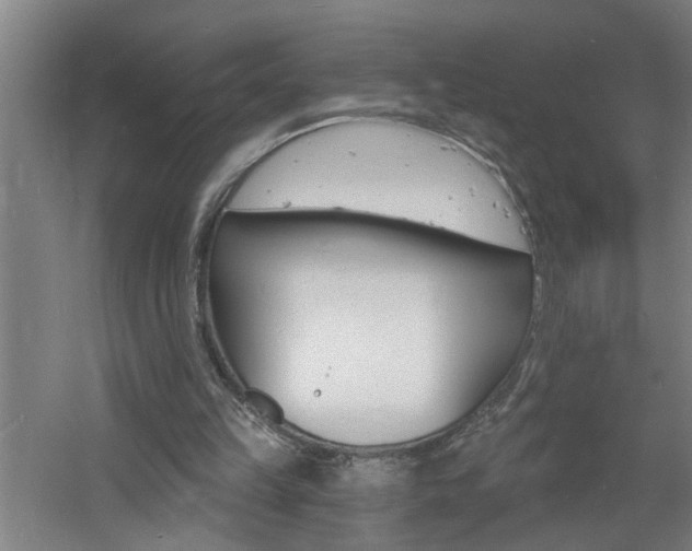 X0000060810149200511101502